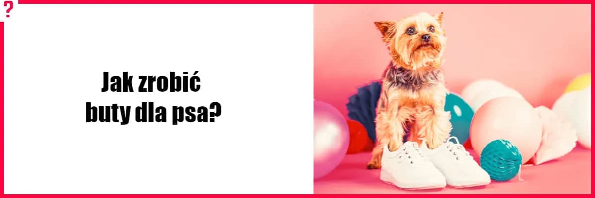 Jak zrobić buty dla psa - proste kroki i najlepsze materiały