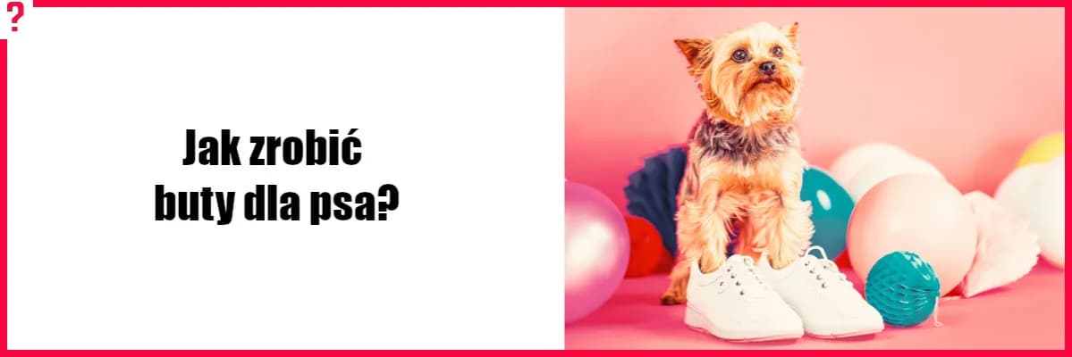 Jak zrobić buty dla psa - proste kroki i najlepsze materiały